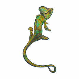 LimbSpot Chameleon 70 x 122mm
