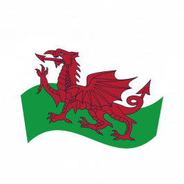 LimbSpot Welsh Flag 70 x 49mm