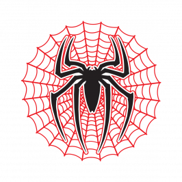 LimbSpot Spider on Web 100 x 100mm