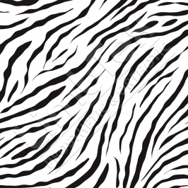 Transfer Paper, Zebra, 0.8x10m Roll