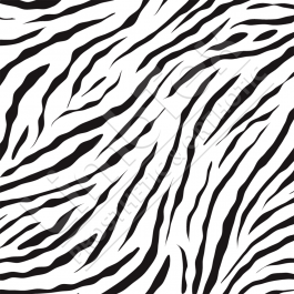 Zebra animal benefits picture