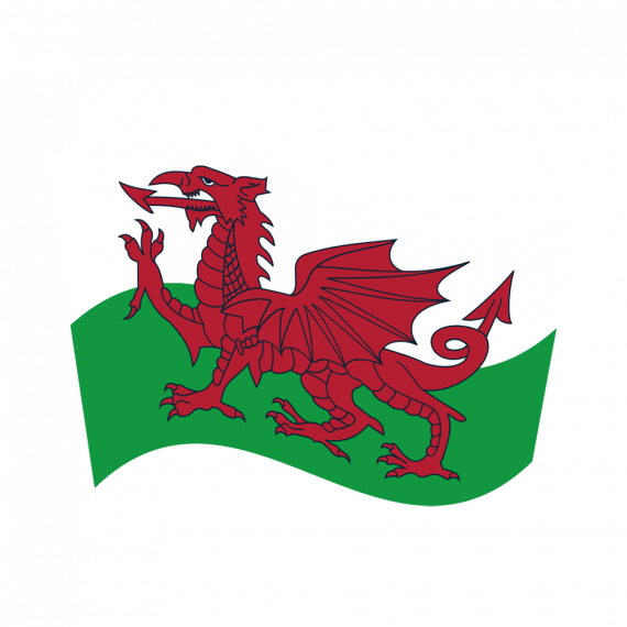 LimbSpot Welsh Flag 70 x 49mm
